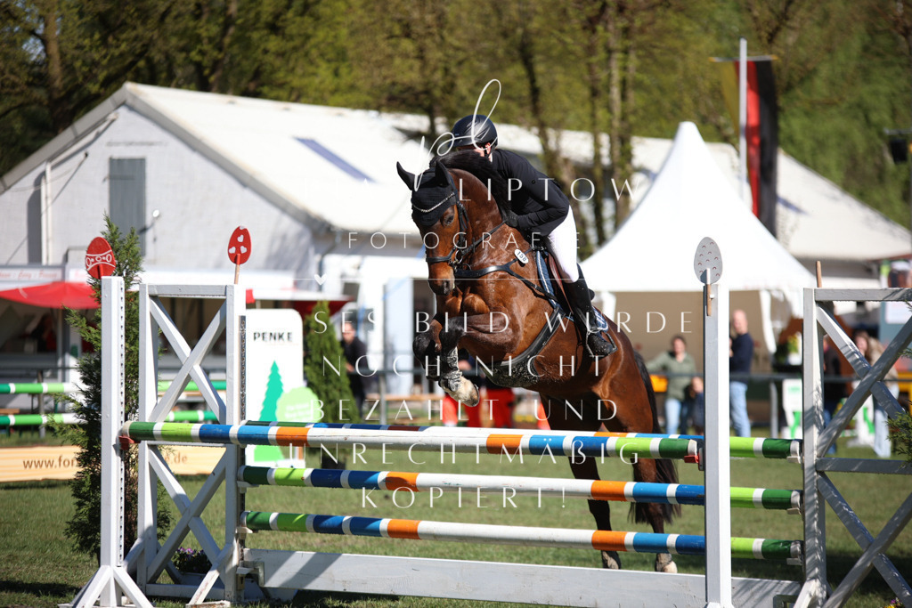 IMGT0472 | pl-fotografie