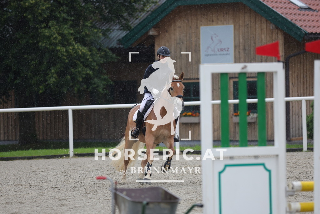 0P6A7634 | Willkommen bei Brunnmayr - Design & Fotografie – Ihrem Spezialisten für Reitturniere und Pferdeveranstaltungen in Oberösterreich, Salzburg und Bayern! Seit über 17 Jahren sind wir leidenschaftlich dabei.