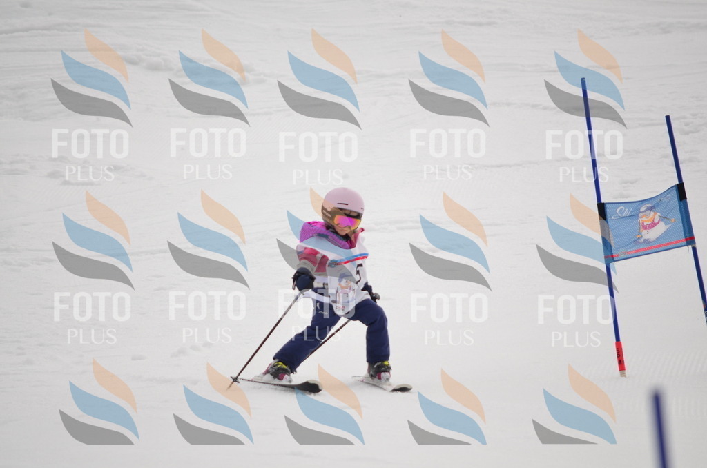 B9704 | holidayphoto