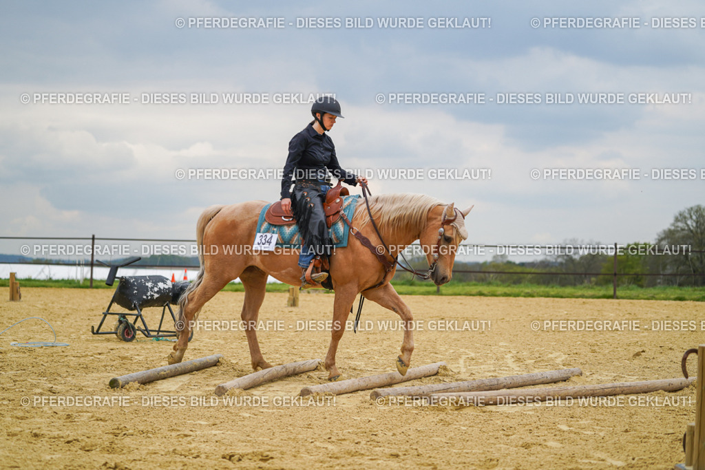 DSC07231 | Pferdegrafie