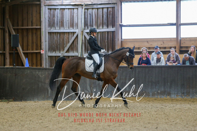 IMG_0389 | Turniersportfotografie; Pferdefotografie; Dressurfotografie