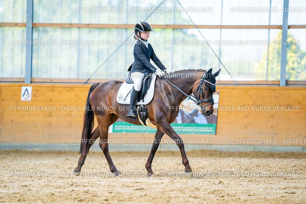 DSC07260 | Pferdegrafie