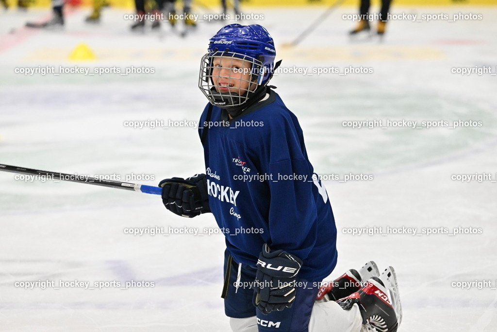Z9B_2177 | hockey sports photos, Pressefotos, Sportfotos, hockey247, win 2day icehockeyleague, Handball Austria, Floorball Austria, ÖVV, Kärntner Eishockeyverband, KEHV, KFV, Kärntner Fussballverband, Österreichischer Volleyballverband, Alps Hockey League, ÖFB, 