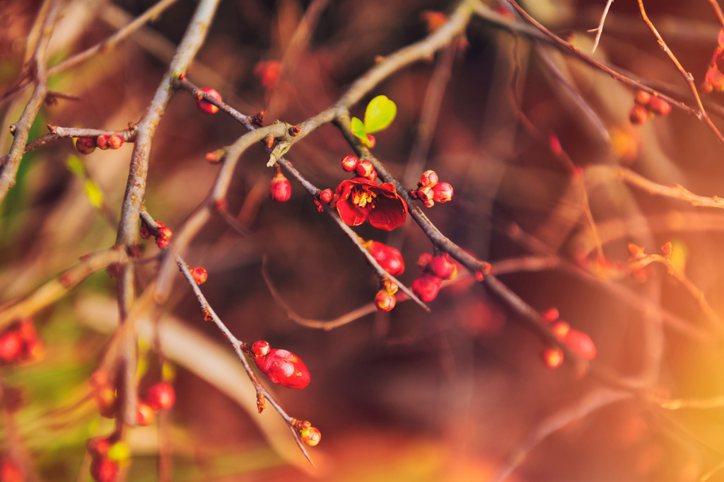 2023_02_04_HH-TEUFELSBRUECK_MCP6707 (Kopie) | Hochwertig gedruckte Fotografien für die Wand, als Kalender und zum Verschenken. Hamburg & Norddeutschland und überall wo ich mit der Kamera unterwegs war.