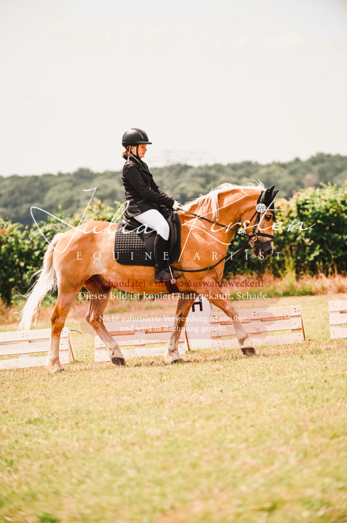 DSC_6365 | Pferde- und Turnierfotografie in Westsachsen. Pferdeportraits, Auftragszeichnungen und intuitive Kunst.