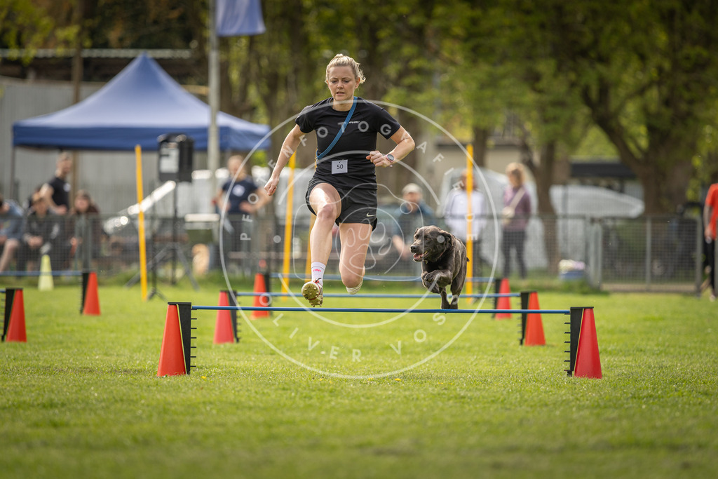 Pfotenfotografie_DV3A6102 | Hundefotografie, Tierfotograf, Pfotenfotografie, Fotoshooting Hund, Hunde Portrait, Hundesport, Hundeportraits, Heideshooting, Hunde, Sportfotograf, Hundefotograf, Turnierhundsport, THS,  - Realisiert mit Pictrs.com