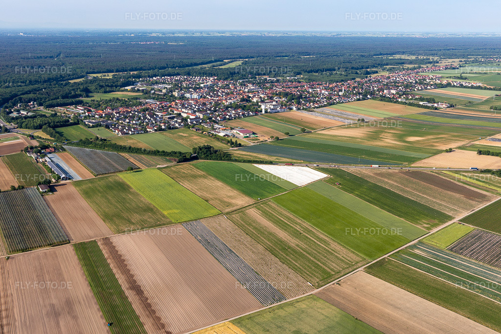 Luftbild: Stadtansicht am Bienwald aus Nordosten in Kandel im Bundesland Rheinland-Pfalz in Deutschland. Foto: IMG_132367.jpg vom 03.06.2022 durch Werner Riehm/FLY-FOTO.de