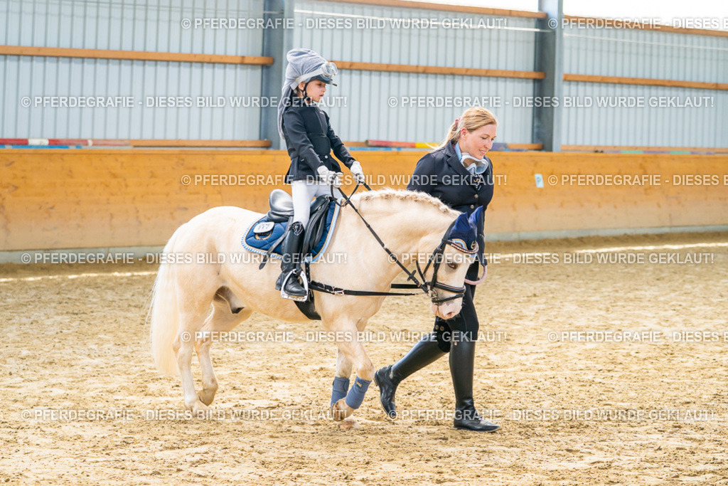 DSC00693 | Pferdegrafie