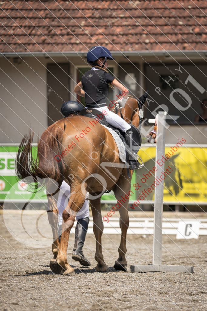 IMG_3527 | Sport-, Event- und Tierfotos in Profiqualität. Einfach auswählen, bestellen und herunterladen. Dein Moment – perfekt festgehalten.