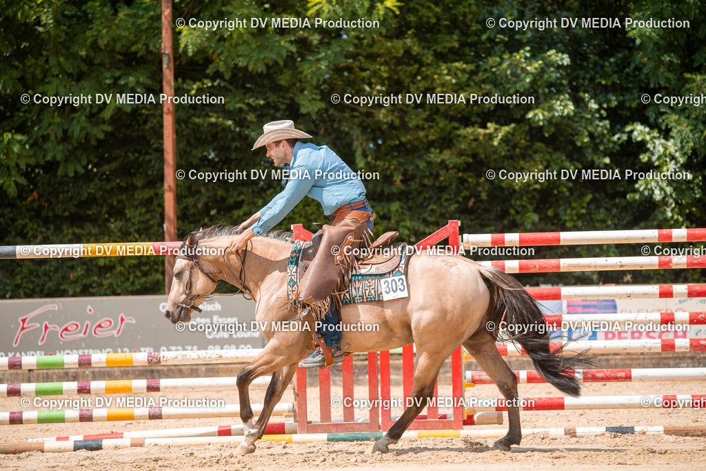 ZS2_8271 | dv-media-shop - Realisiert mit Pictrs.com