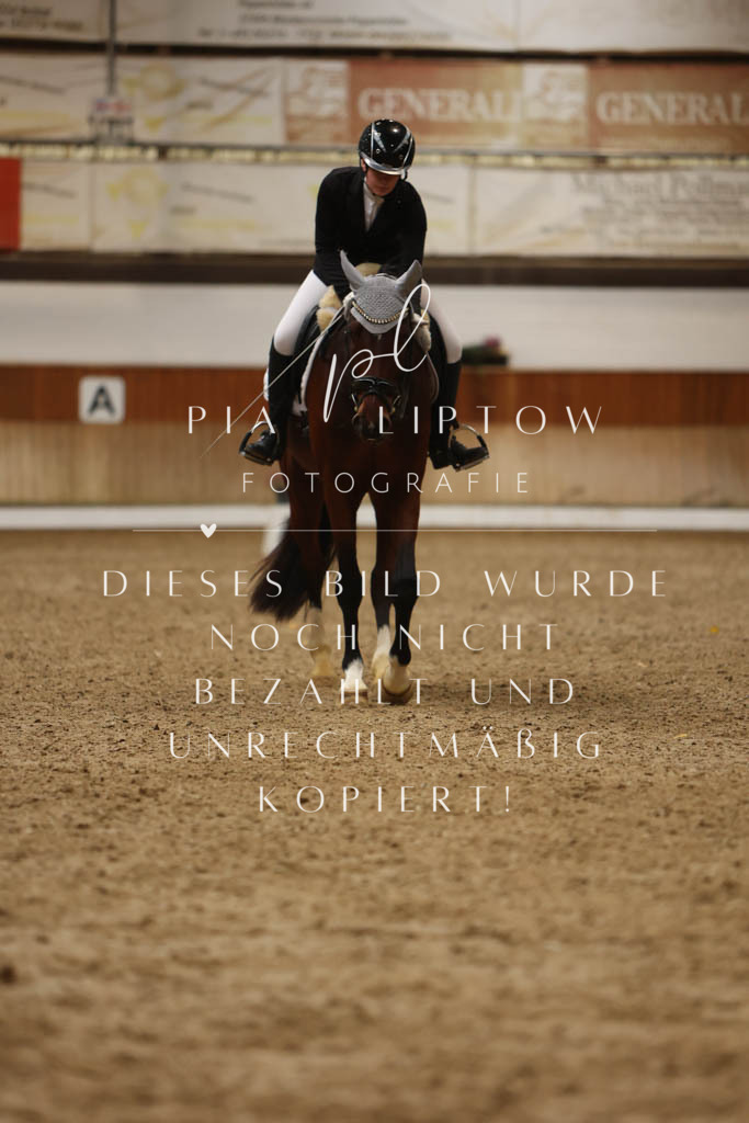 IMGM8230 | pl-fotografie