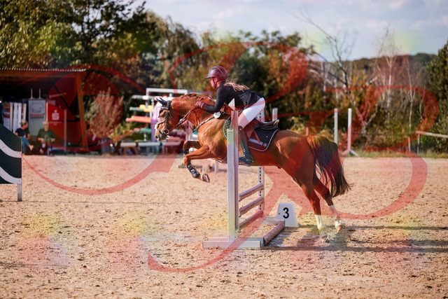 2026_10_03_Siefer-Hof_155757_Z81_77671833 | Professionelle Reitsport-, Turnier- und Eventfotografie von Robert Broda. Galerien mit ausgewählten und bearbeiteten Bildern direkt online ansehen und bestellen.