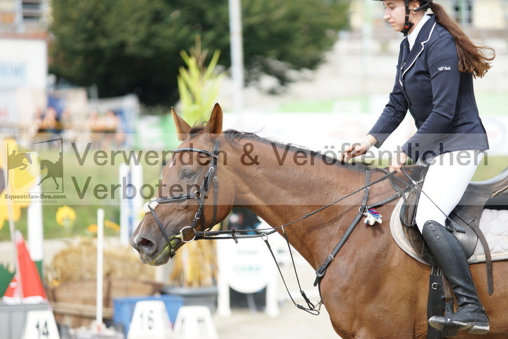 DSC03754 | equestrian-live-com
