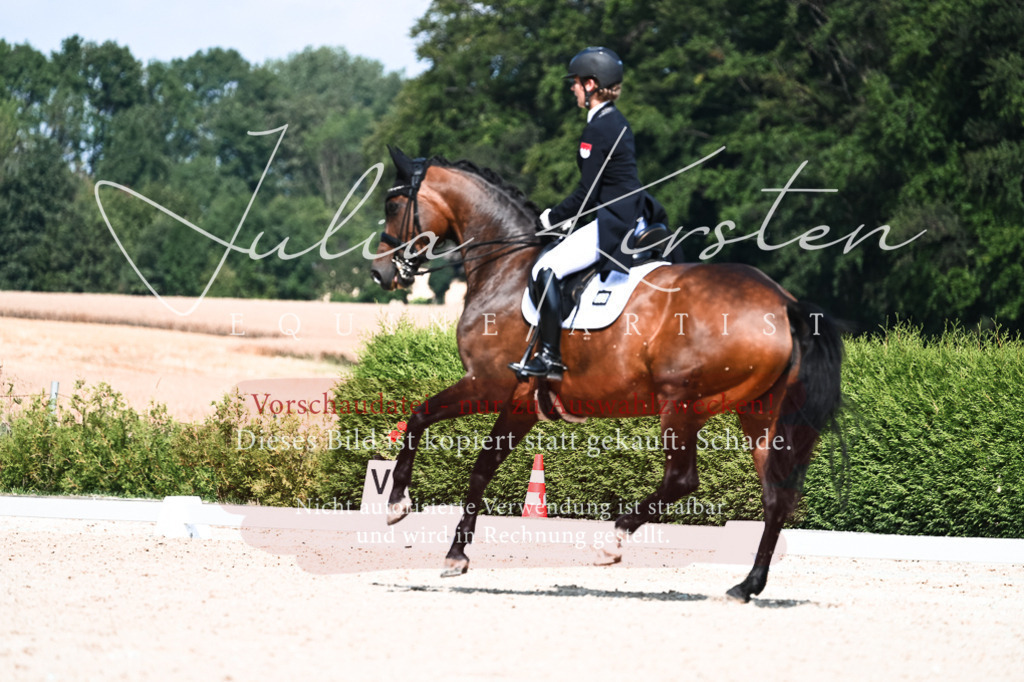 DSC_3081 | Pferde- und Turnierfotografie in Westsachsen. Pferdeportraits, Auftragszeichnungen und intuitive Kunst.