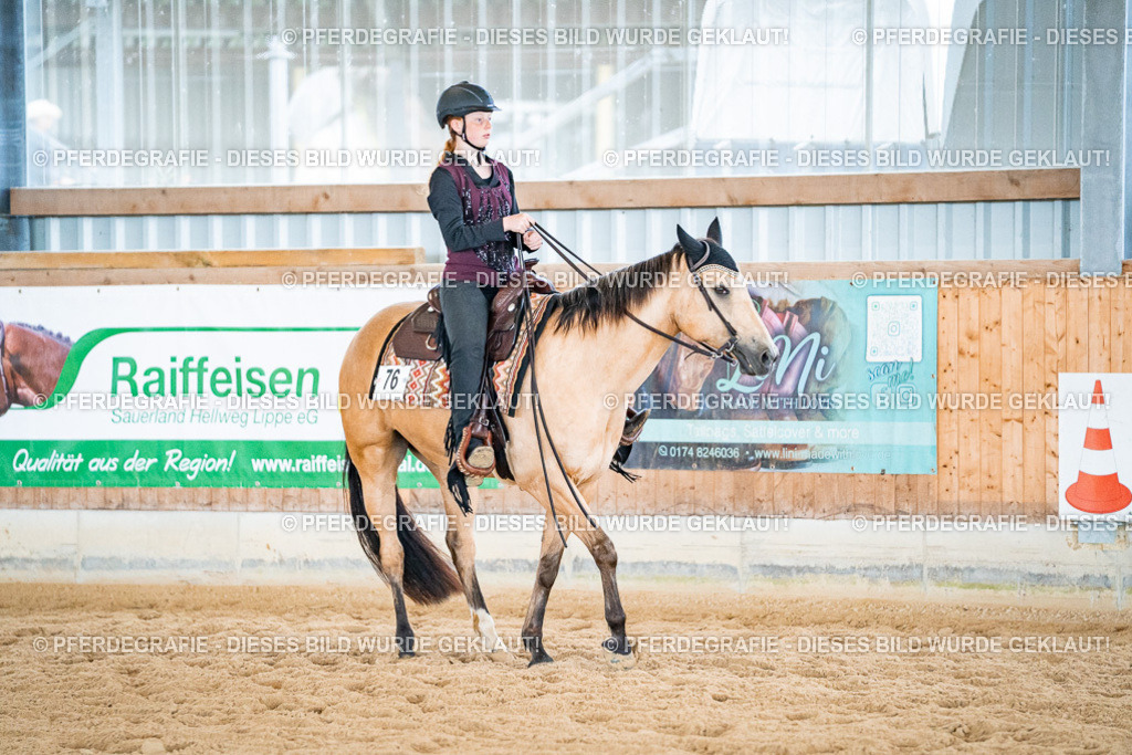 DSC02696 | Pferdegrafie