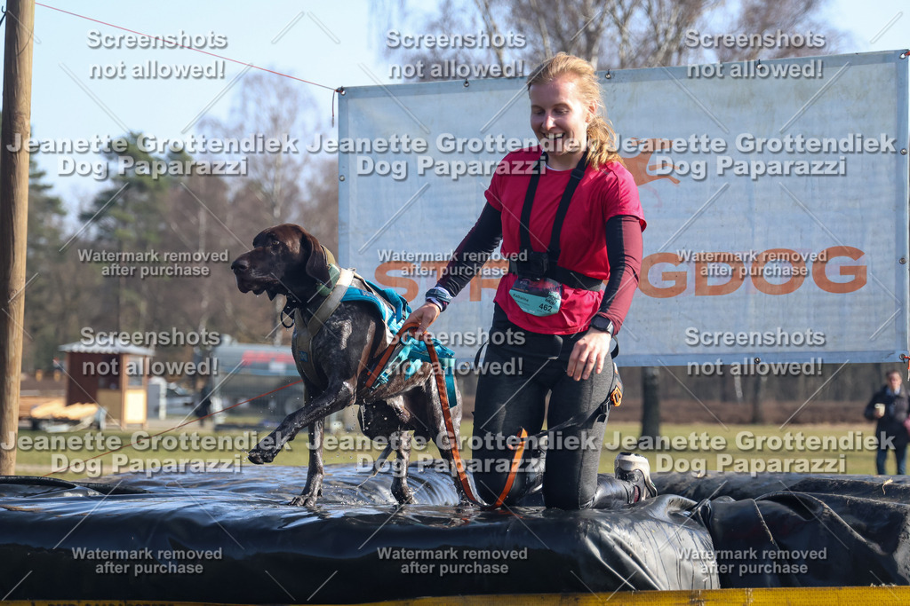 Dog Paparazzi - Strongdog North Mrz26-1284 | Dog Paparazzi Jeanette Grottendiek Fotografie & Videografie - Realisiert mit Pictrs.com