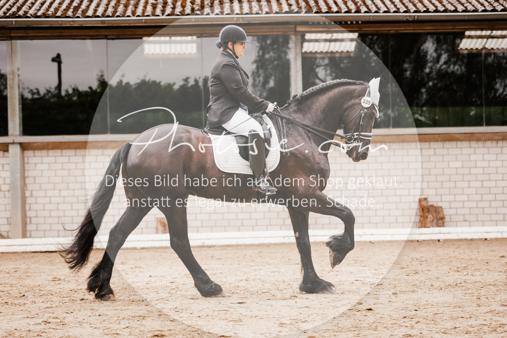 3I6A7736 | Stimmungsvolle Portraits und Reitsportfotografie im Ruhrgebiet und im Münsterland.

Pferdefotografie, Hundefotografie, Tierfotografie, Reportagen, Portraits von Tier und Mensch, Turnierfotografie in Bochum, Recklinghausen, Marl, Haltern am See, Dülmen.. - Realisiert mit Pictrs.com