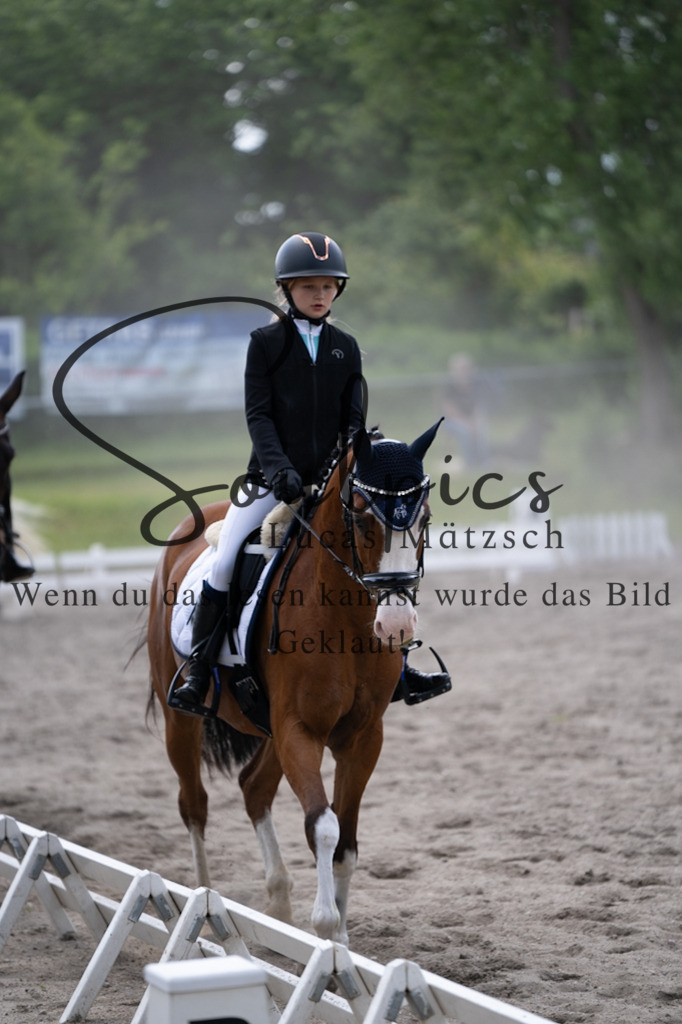 A7V02895 | Pferdefotograf