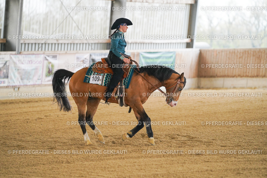 DSC08454 | Pferdegrafie