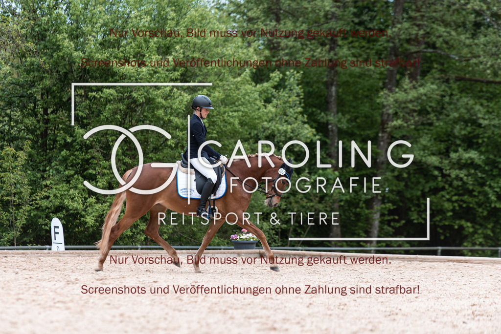 DSC_7052 | Turnierfotografin Carolin Gieschke,Reitsport Turnierfotografie Carolin G Fotografie | Turnierfotos aus Kirchheim/Teck, Esslingen, Stuttgart und dem Bodenseekreis