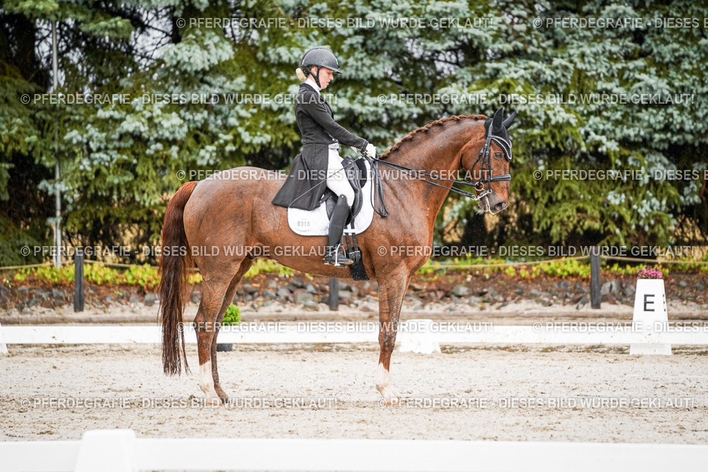 DSC09398 | Pferdegrafie