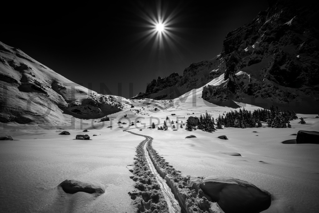 DSC03460 | Tinu Müller Fotografie- Bildershop - Realisiert mit Pictrs.com