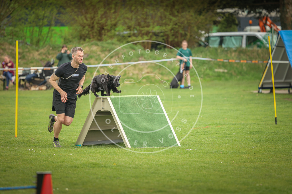 Pfotenfotografie_0L8A1209 | Hundefotografie, Tierfotograf, Pfotenfotografie, Fotoshooting Hund, Hunde Portrait, Hundesport, Hundeportraits, Heideshooting, Hunde, Sportfotograf, Hundefotograf, Turnierhundsport, THS,  - Realisiert mit Pictrs.com