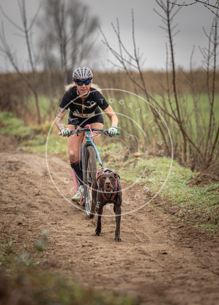 DV3A9159 | Hundefotografie, Tierfotograf, Pfotenfotografie, Fotoshooting Hund, Hunde Portrait, Hundesport, Hundeportraits, Heideshooting, Hunde, Sportfotograf, Hundefotograf, Turnierhundsport, THS,  - Realisiert mit Pictrs.com