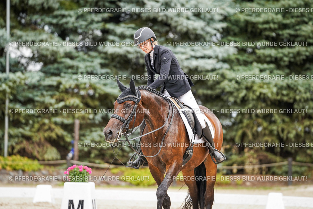 DSC04713 | Pferdegrafie