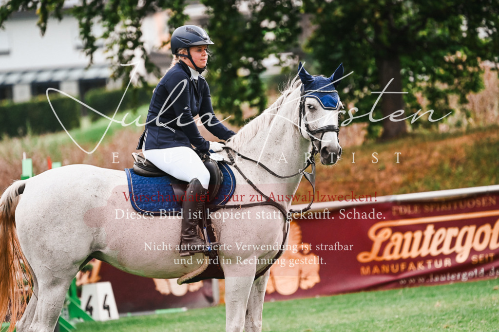 DSC_6010 | Pferde- und Turnierfotografie in Westsachsen. Pferdeportraits, Auftragszeichnungen und intuitive Kunst.