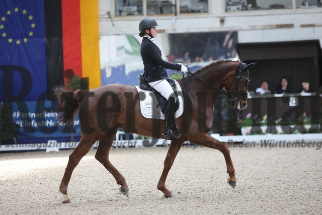 Pforzheim_2024_Prfg.Nr.12_Dressurreiterprfg.Kl.M_Nürnberger-Burgpokal_Antonia Kronmüller_Donnia (4) | Alle Fotos der Reiterjournal Fotografin Doris Matthaes im Reiterjournal Online-Fotoshop. - Realisiert mit Pictrs.com