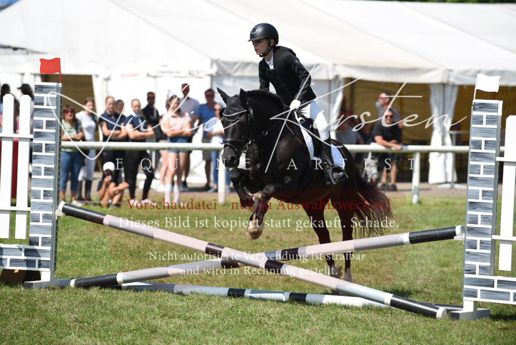DSC_9895 | Pferde- und Turnierfotografie in Westsachsen. Pferdeportraits, Auftragszeichnungen und intuitive Kunst.