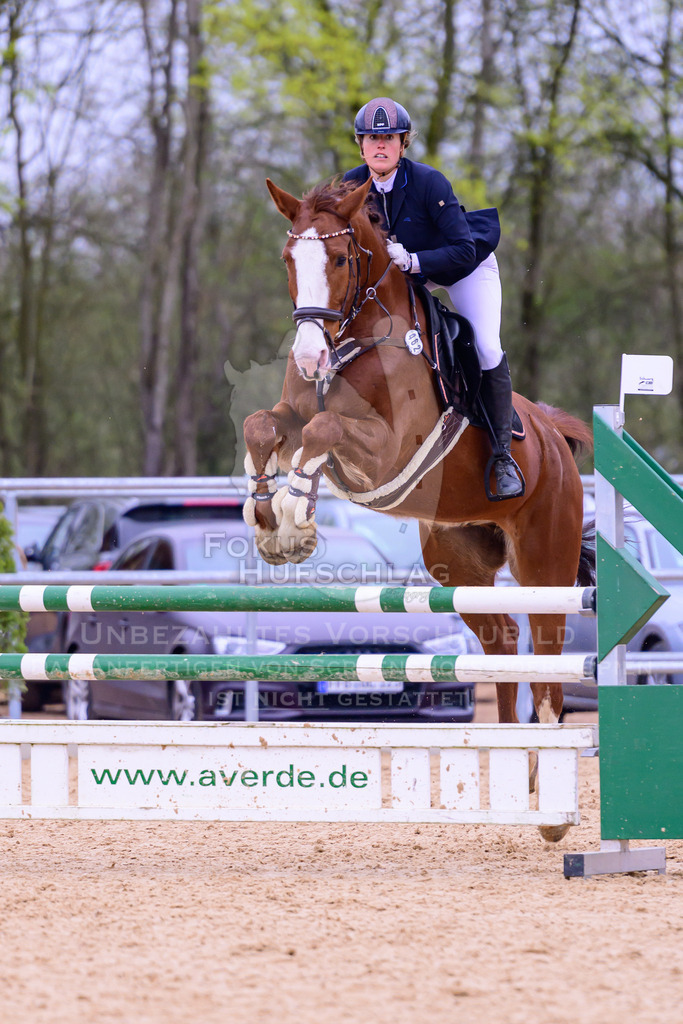 12042026-Mammendorf-Prfg42-0379 | Fokus Hufschlag Fotografie - Realisiert mit Pictrs.com