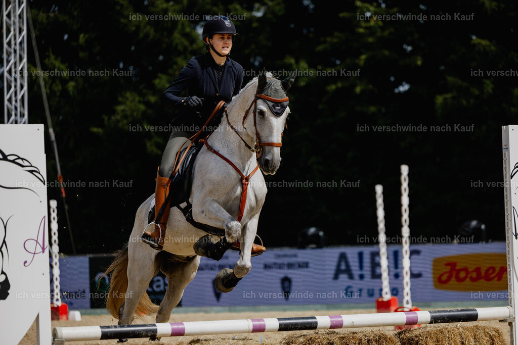 Svea13FHC2025-20445 | working equitationturnier fotograf videograf stoibphotography marixx film working equitation deutschland reitsport turnierfotografie eventfotografie equestrian events