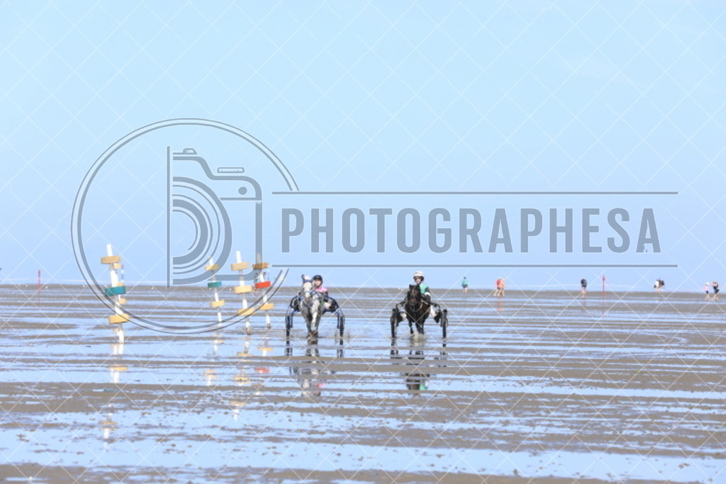 IMG_8730 | photographesa-joergens - Realisiert mit Pictrs.com