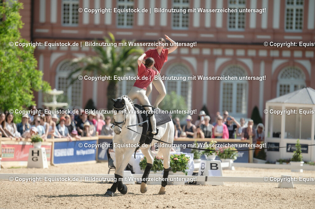 20230528_Voltigieren_NASPA_0332 | equistock