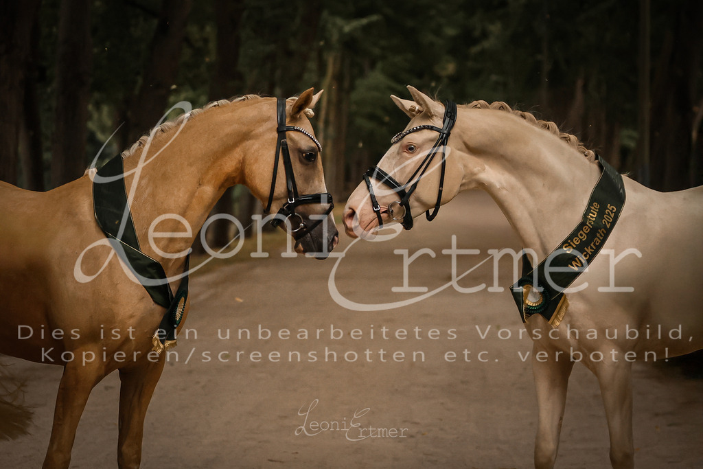 10.-12.Elite00153 | Leoni Ertmer Photography - Realisiert mit Pictrs.com