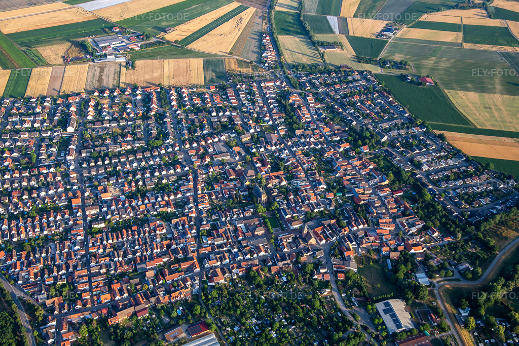 Luftbild: Mannheimer Straße in Otterstadt im Bundesland Rheinland-Pfalz in Deutschland. Foto: IMG_136849.jpg vom 24.06.2023 durch Werner Riehm/FLY-FOTO.de