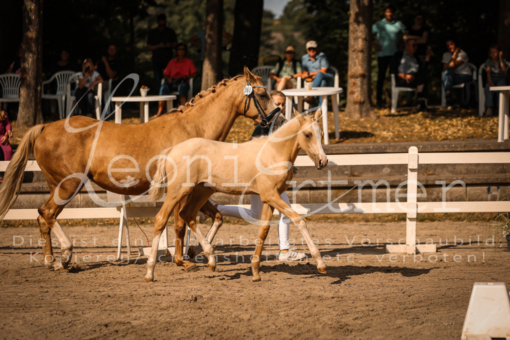 10.DoRP00130 | Leoni Ertmer Photography - Realisiert mit Pictrs.com