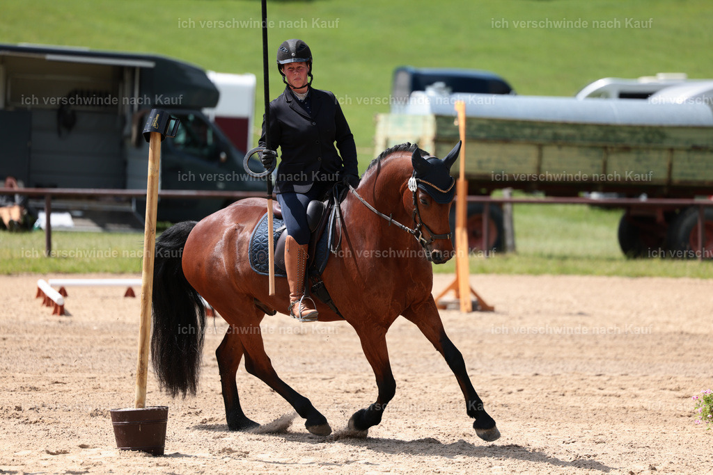 KlasseA_Stoibphotography_C2_L5450.JPG | working equitationturnier fotograf videograf stoibphotography marixx film working equitation deutschland reitsport turnierfotografie eventfotografie equestrian events