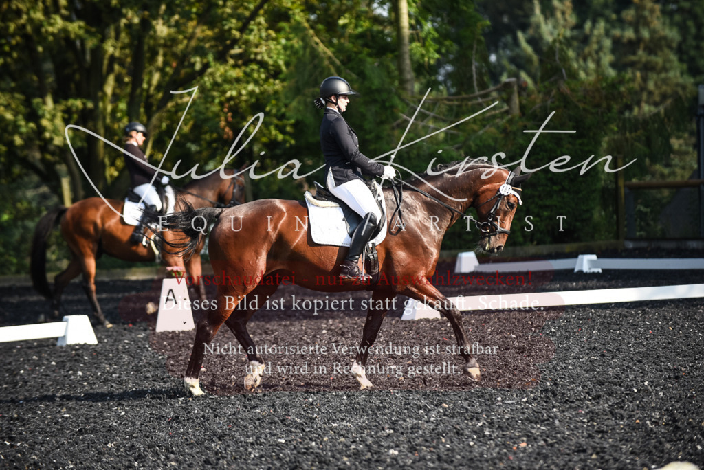 DSC_3195 | Pferde- und Turnierfotografie in Westsachsen. Pferdeportraits, Auftragszeichnungen und intuitive Kunst.
