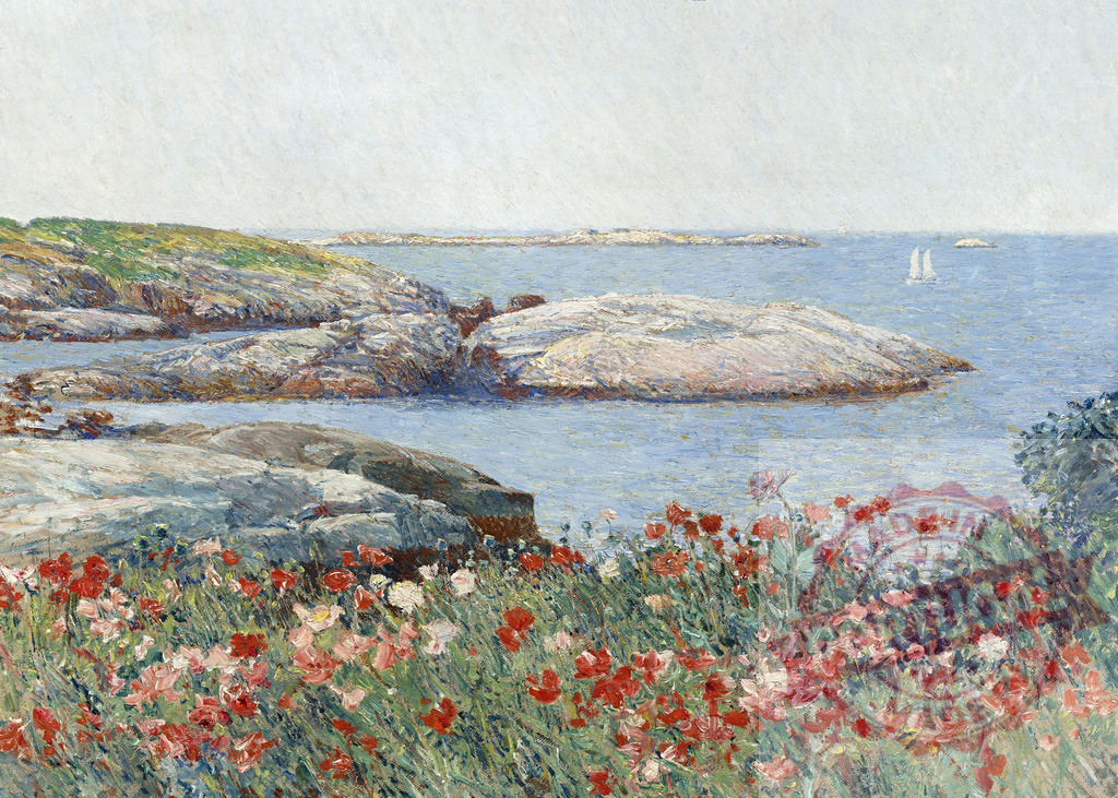 Poppies blooming on the rocky coast of Maine with sailboats sailing in the distance | Impressionist painting of poppies blooming on the rocky coast of Maine with sailboats sailing in the distance - Realized with Pictrs.com