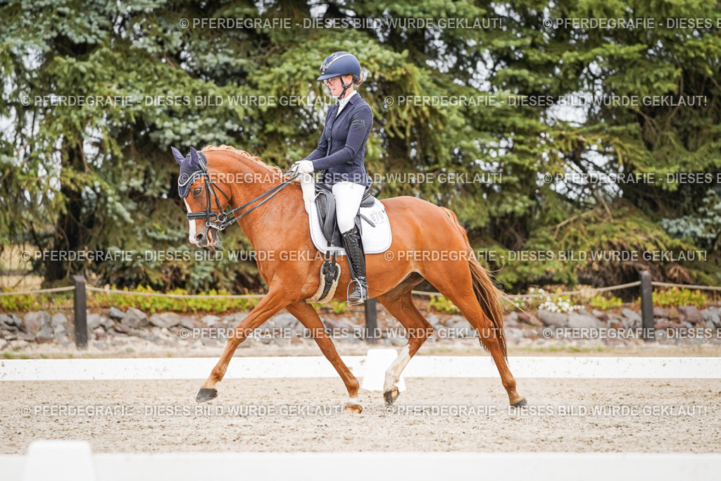 DSC07089 | Pferdegrafie