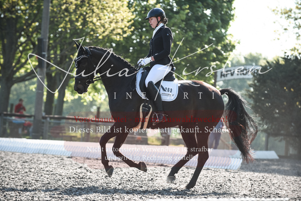 DSC_8393 | Pferde- und Turnierfotografie in Westsachsen. Pferdeportraits, Auftragszeichnungen und intuitive Kunst.
