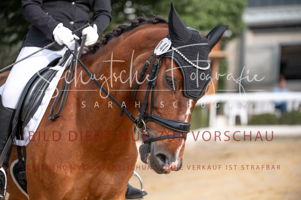 Schugtsche-Aluta25-40.DressurprfA_-94 | Schugtsche Fotografie - Realisiert mit Pictrs.com