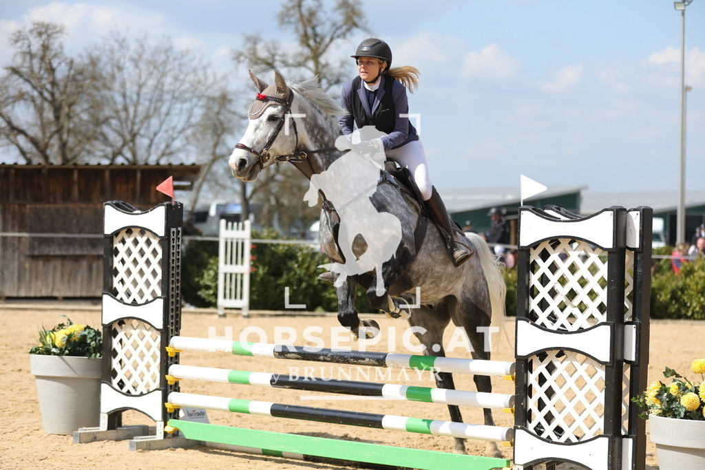 0P6A7516 | Willkommen bei Brunnmayr - Design & Fotografie – Ihrem Spezialisten für Reitturniere und Pferdeveranstaltungen in Oberösterreich, Salzburg und Bayern! Seit über 17 Jahren sind wir leidenschaftlich dabei.