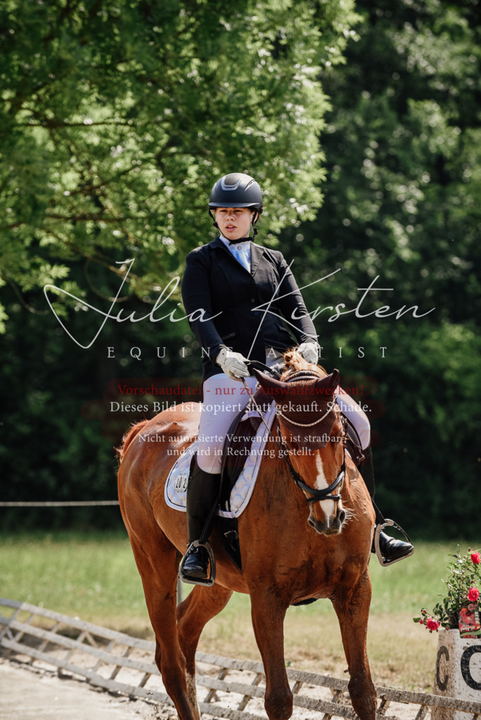 DSC_0264 | Pferde- und Turnierfotografie in Westsachsen. Pferdeportraits, Auftragszeichnungen und intuitive Kunst.