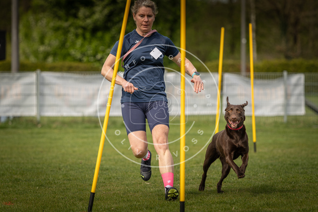 Pfotenfotografie_DV3A5331 | Hundefotografie, Tierfotograf, Pfotenfotografie, Fotoshooting Hund, Hunde Portrait, Hundesport, Hundeportraits, Heideshooting, Hunde, Sportfotograf, Hundefotograf, Turnierhundsport, THS,  - Realisiert mit Pictrs.com