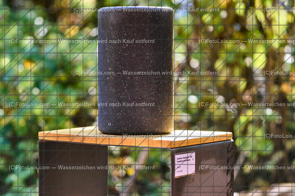 ALP1493_TdoA-NOe_SteinSkulpturen_dunkler Kalkstein | (C)FotoLois.com, Alois Spandl, NÖ-Tage der offenen Ateliers, STEINSKULPTUREN von Maria HEINRICH, präsentiert im rothschild'schen Glassalon - am Sonntag mit musikalischer Untermalung von LIUNZE BRASS - sozusagen 'Das klingende offene Atelier der Steinskulpturen' in Langau/Maierhöfen, So 16. Oktober 2022.