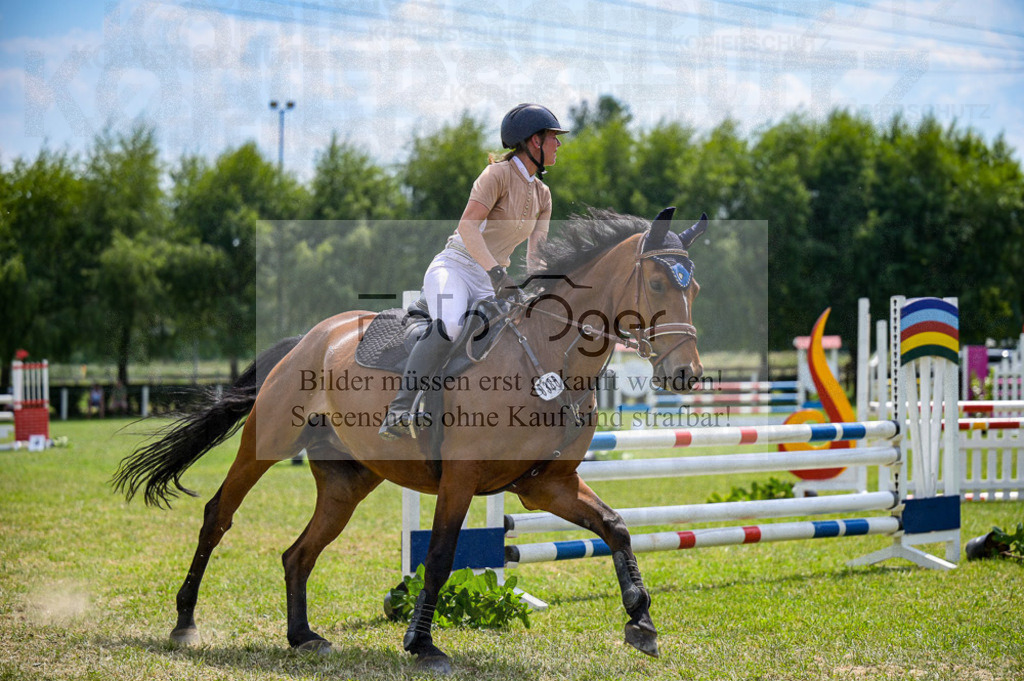 Reitturnier Voxtrup | Entdecke hochwertige Reitturnierfotos von Foto Oger. Professionell, emotional und authentisch – jetzt Lieblingsmomente im Shop bestellen. - Realisiert mit Pictrs.com